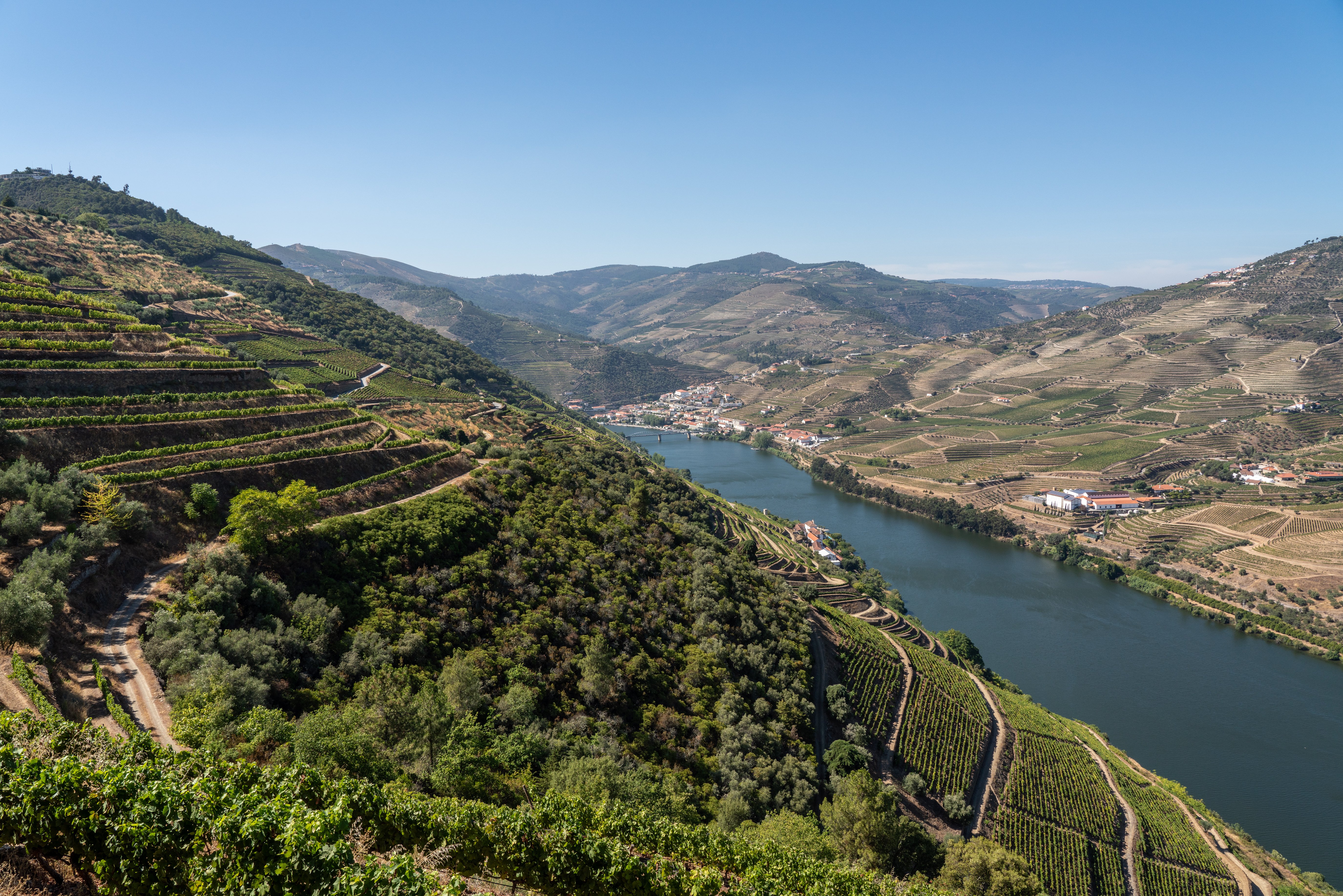 Douro Valley